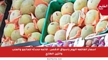 أسعار الفاكهة اليوم بأسواق الأقصر.. قائمة محدثة للمانجو والعنب والتين الطازج